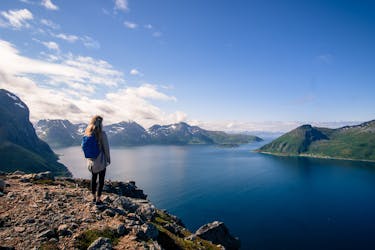 Aventure de randonnée dans le fjord avec expérience Tesla